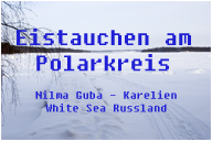 Eistauchen am Polarkreis