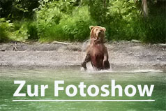 Zur Fotoshow