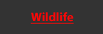 Wildlife